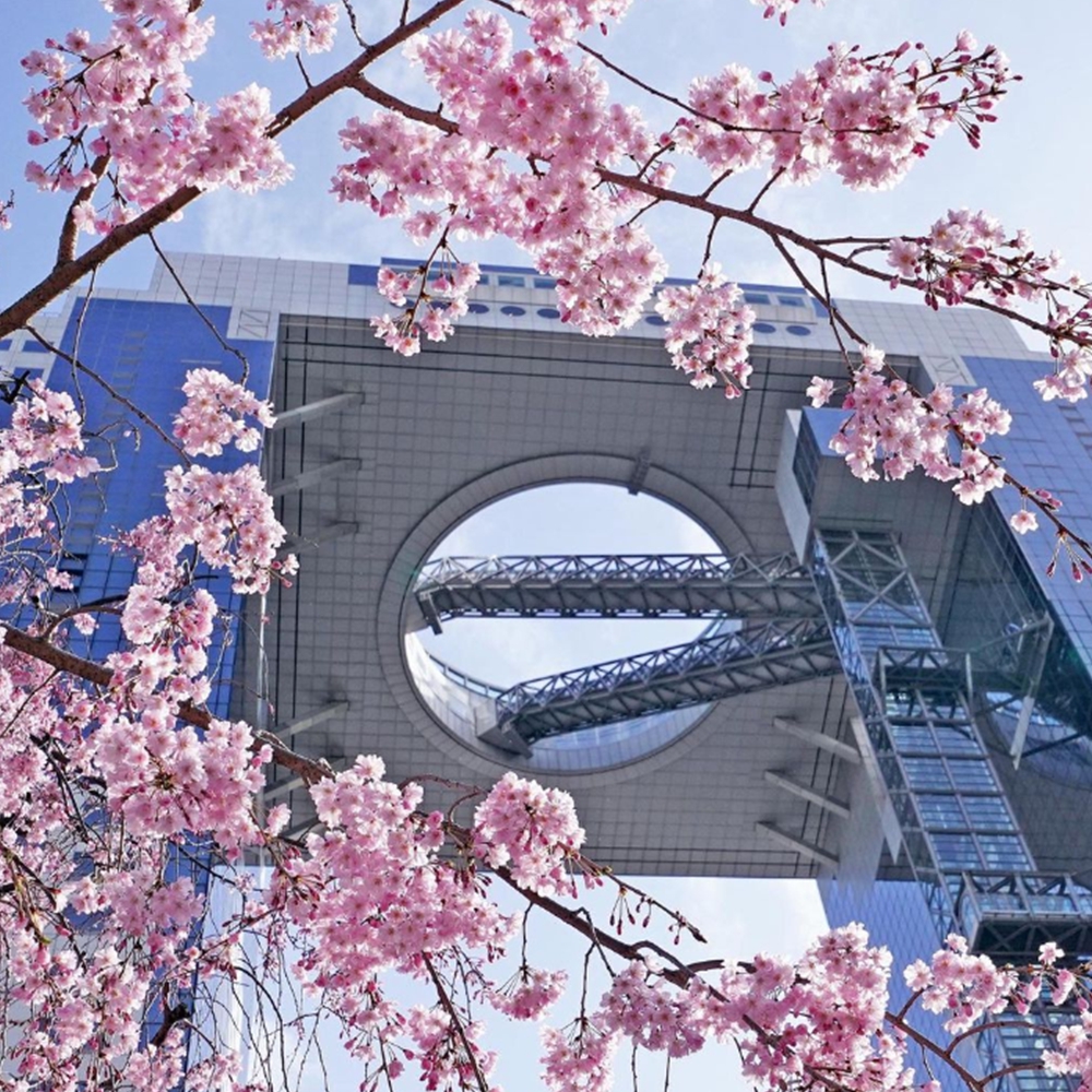 오사카주유패스 우메다스카이빌딩 공중정원 전망대