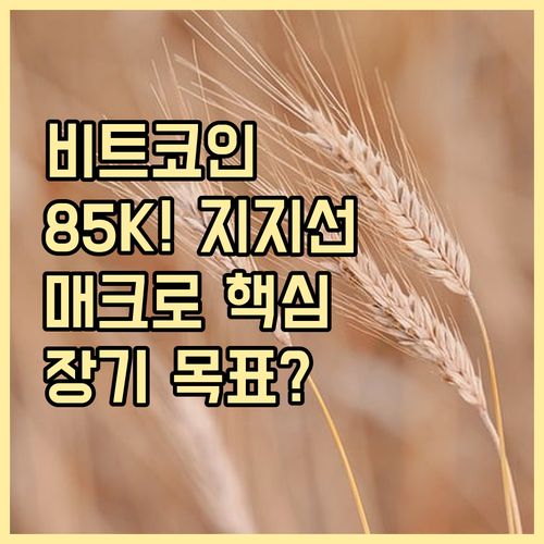 비트코인 $85,000 심리적 지지선..