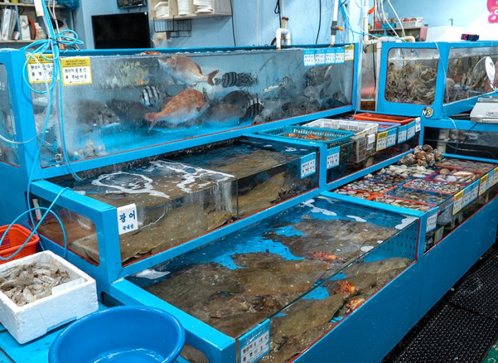 무창포 주꾸미 도다리 축제