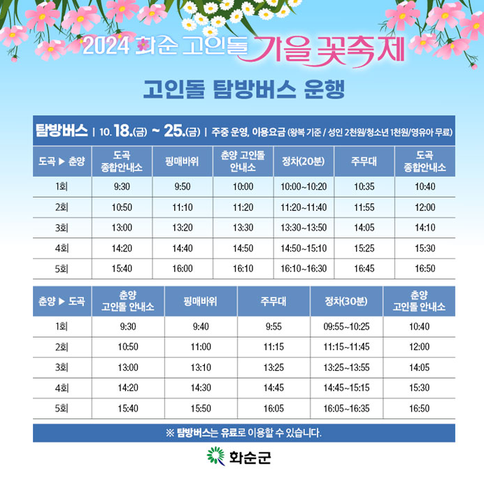 화순 고인돌 가을꽃축제