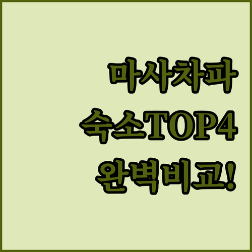 니카라과 마사차파 숙소 추천 TOP ..