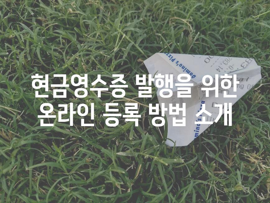 현금영수증 발행을 위한 온라인 등록 방법 소개