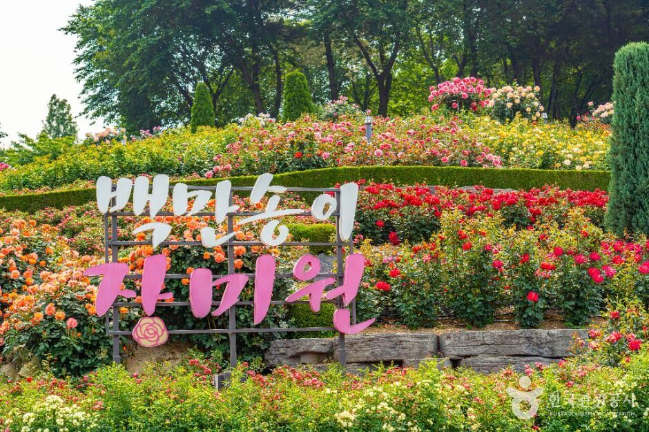 부천 가볼만한곳 베스트 10