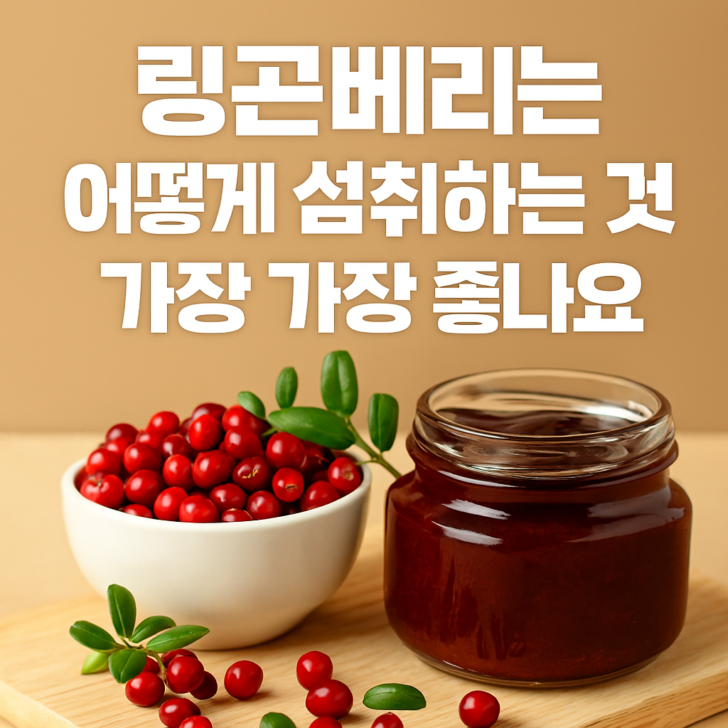 링곤베리 효능이 궁금하세요? 부작용, 섭취법, 항산화, 면역력 완벽 정리!