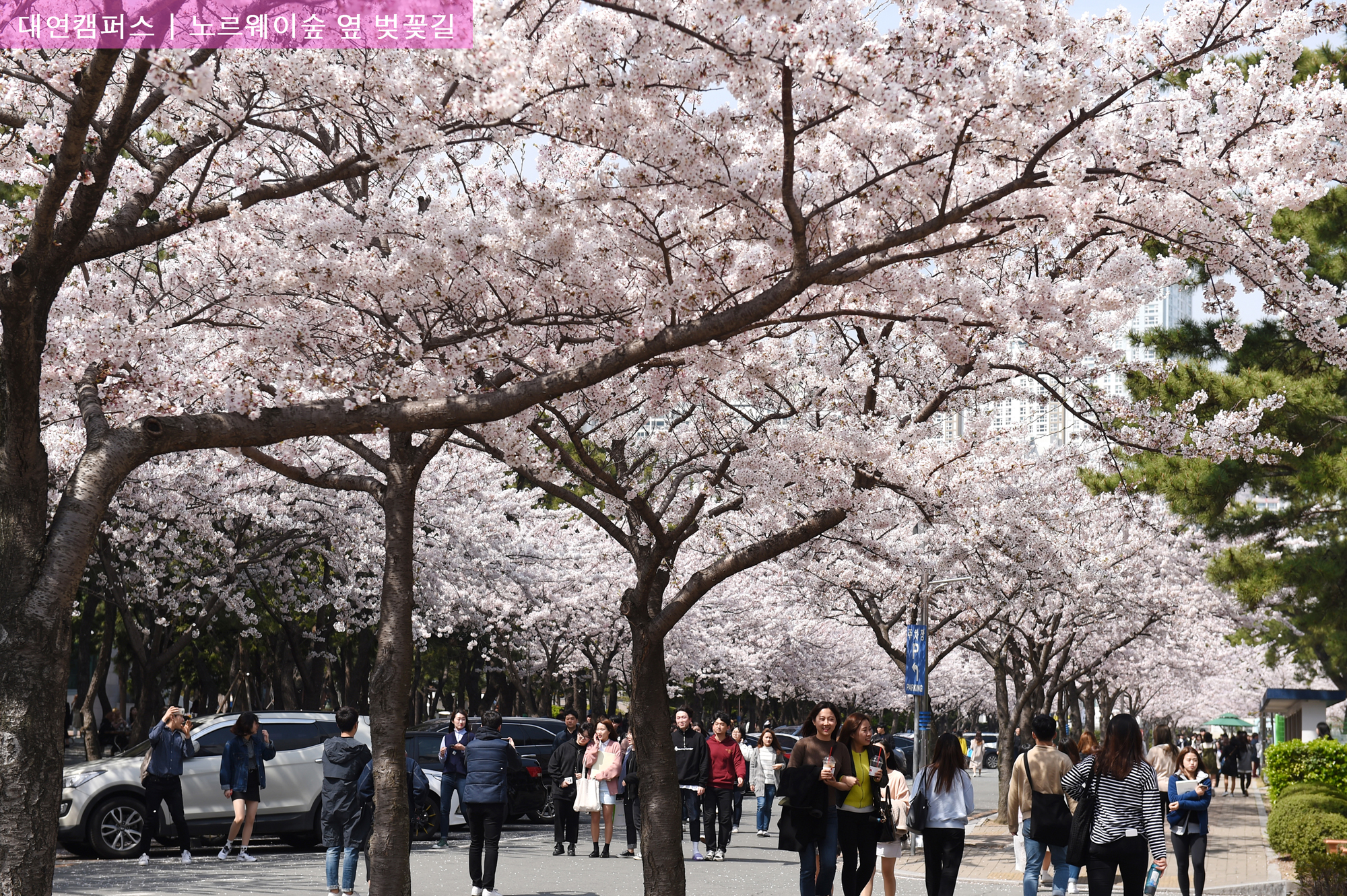 부경대