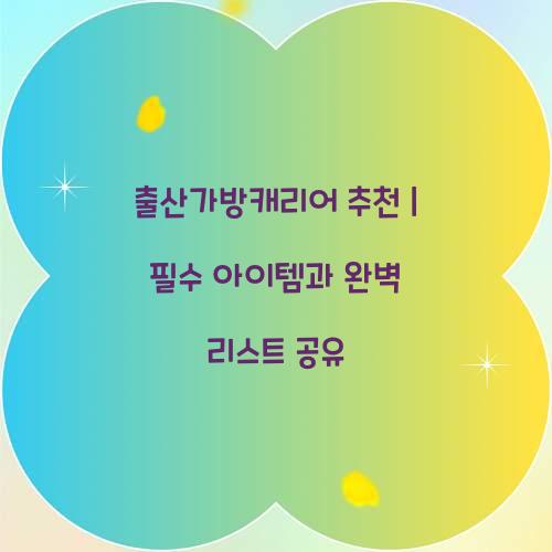 출산가방캐리어 추천