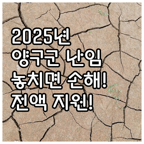 2025년 양구군 난임 시술비 지원:..