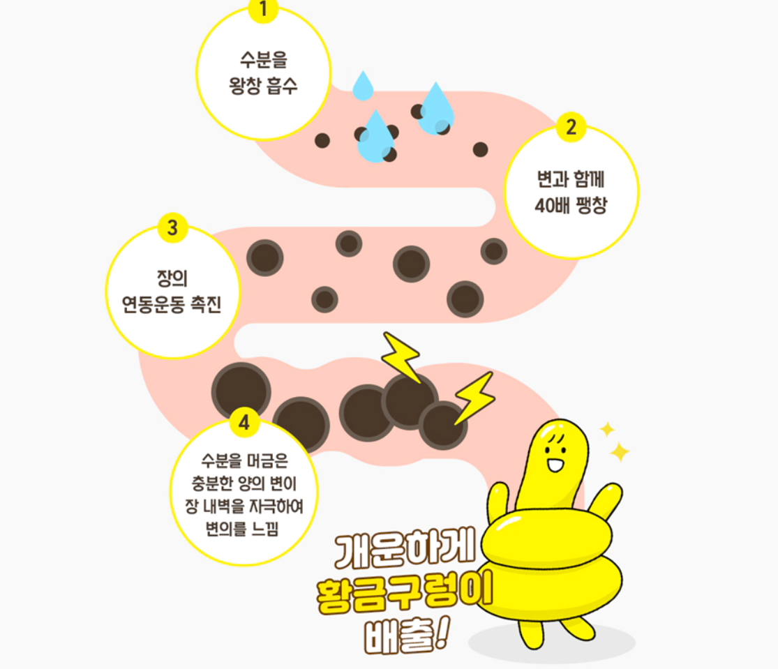 황금구렁이는 무엇인가요?
