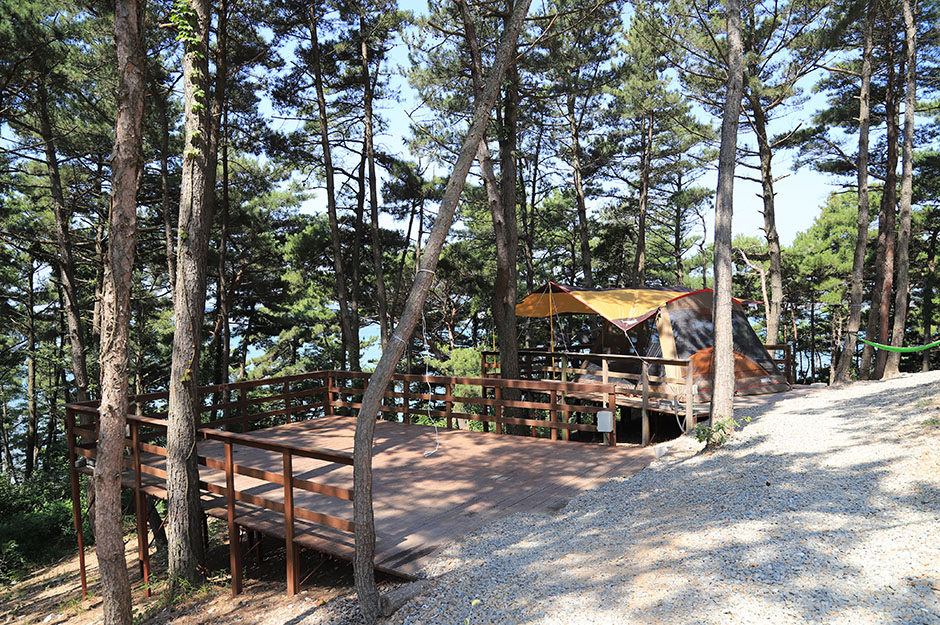 트리캠핑장