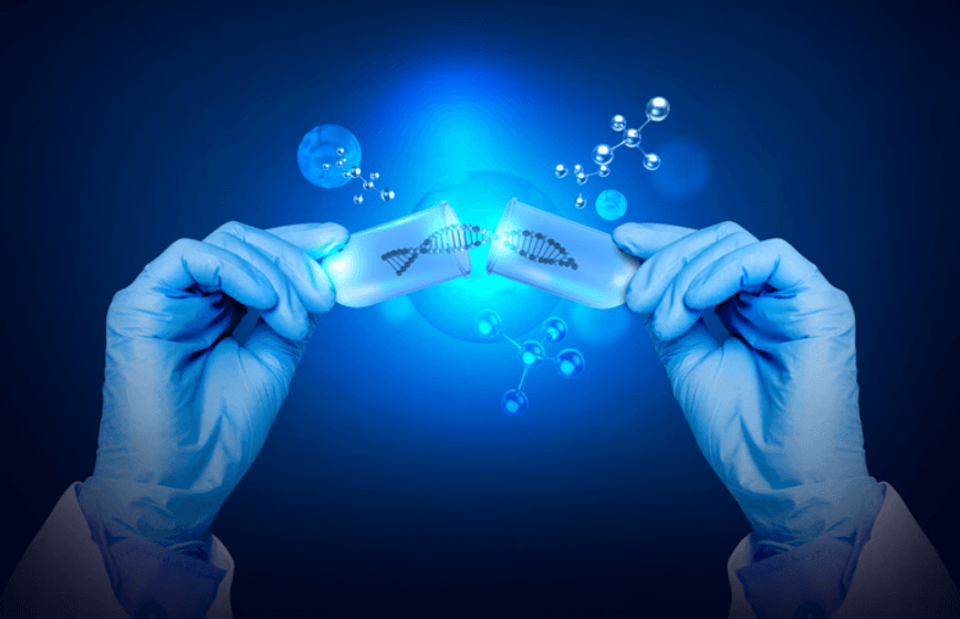 일라이릴리 vs. 노보 노르디스크