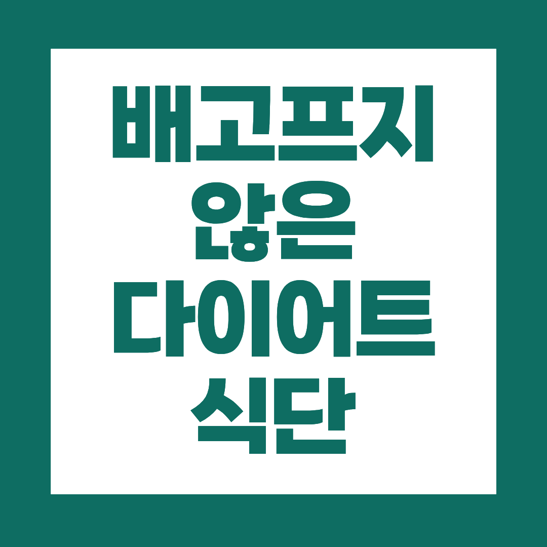 배고프지 않은 다이어트 식단, 현실적인 도시락 구성