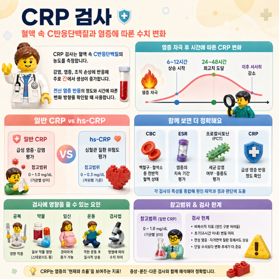 CRP 검사의 개념과 혈액 속 C반응단백질 농도, 염증 반응에 따른 수치 변화를 설명하는 레고 스타일 메디컬 인포그래픽