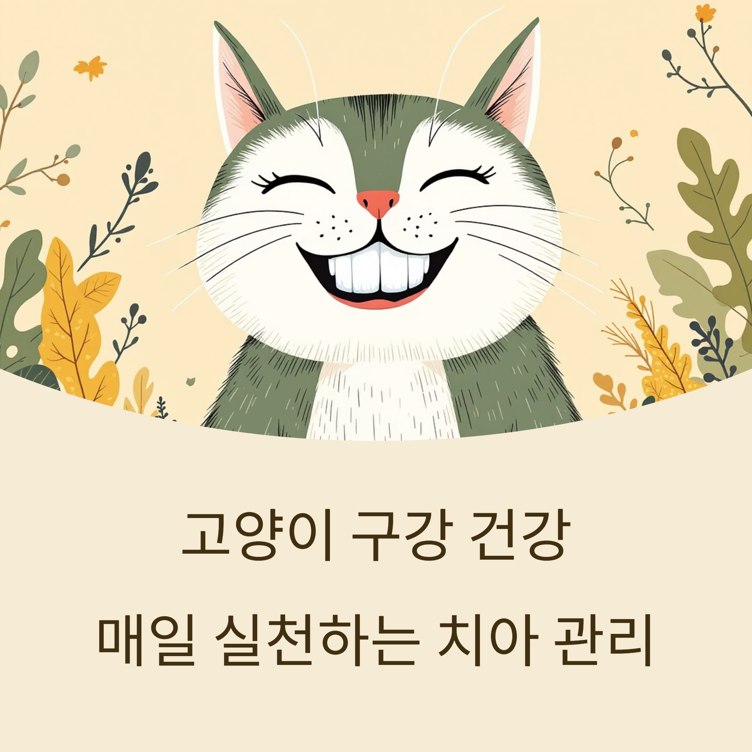 고양이 구강 건강 매일 실천하는 치아 관리