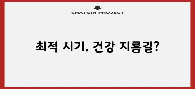 고양이 중성화 수술 시기 건강을 지키는 최고의 선택입니다!