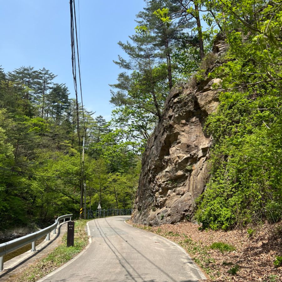 미천골자연휴양림