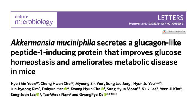 큐시락토 GLP-1 효과