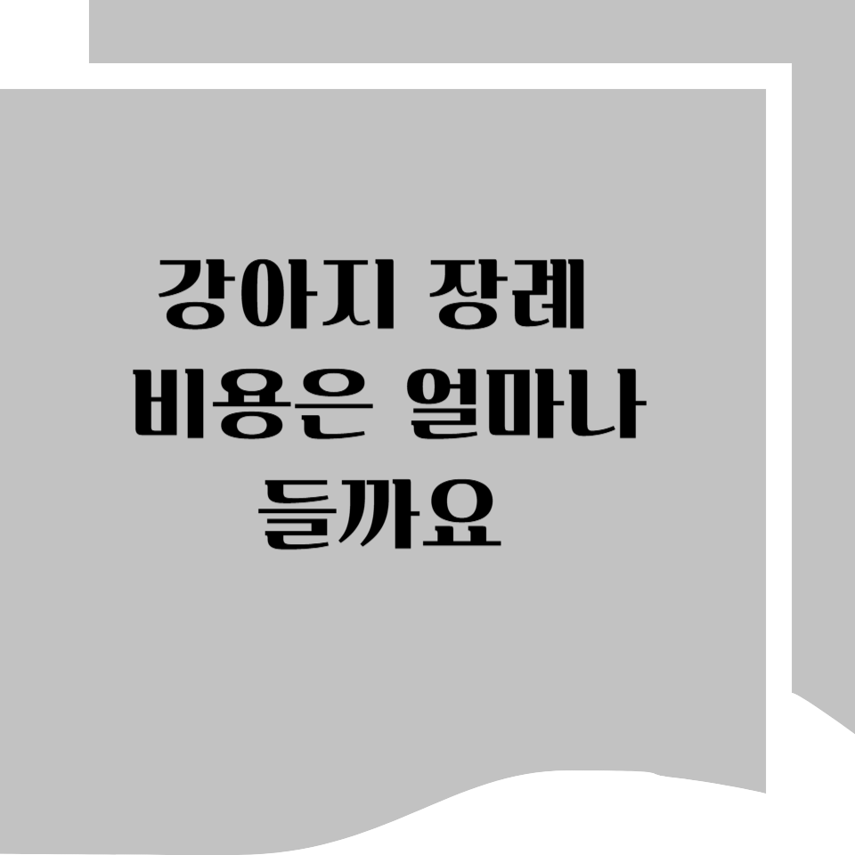 반려동물 장례식장 비용, 얼마나 들까요? 미리 알아두면 도움이 됩니다