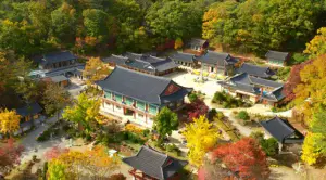 봉선사