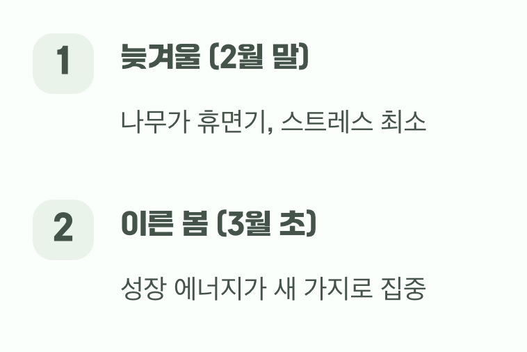 최고의 타이밍, '이른 봄'