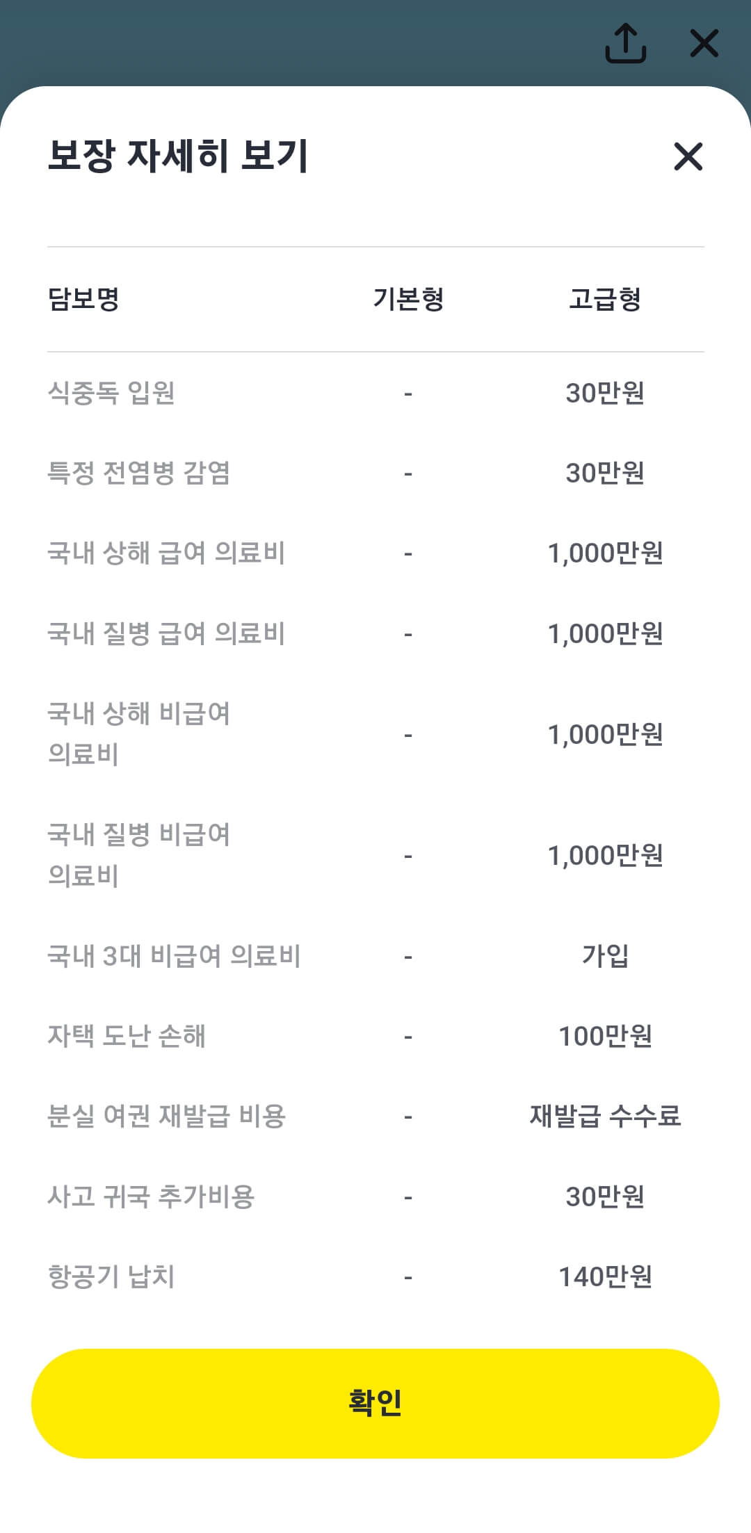 카카오페이 여행자보험