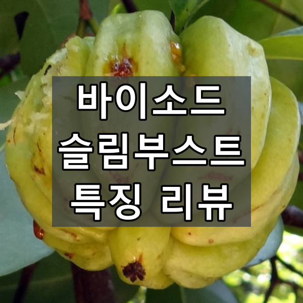 바이소드슬림부스트 대표이미지