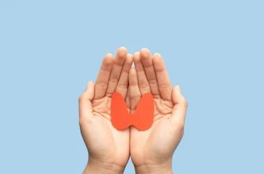 갑상선기능 항진증치료 방법