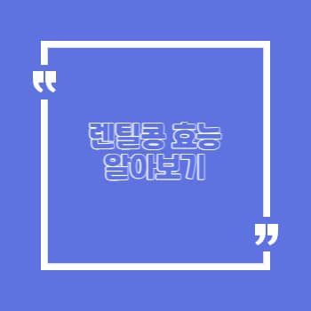 렌틸콩 효능