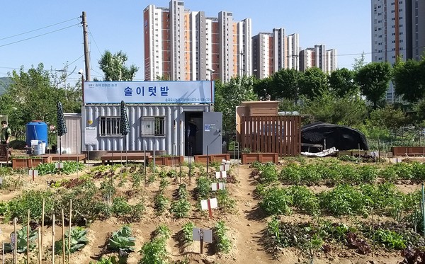 송파구 도시농업 텃밭 모습
