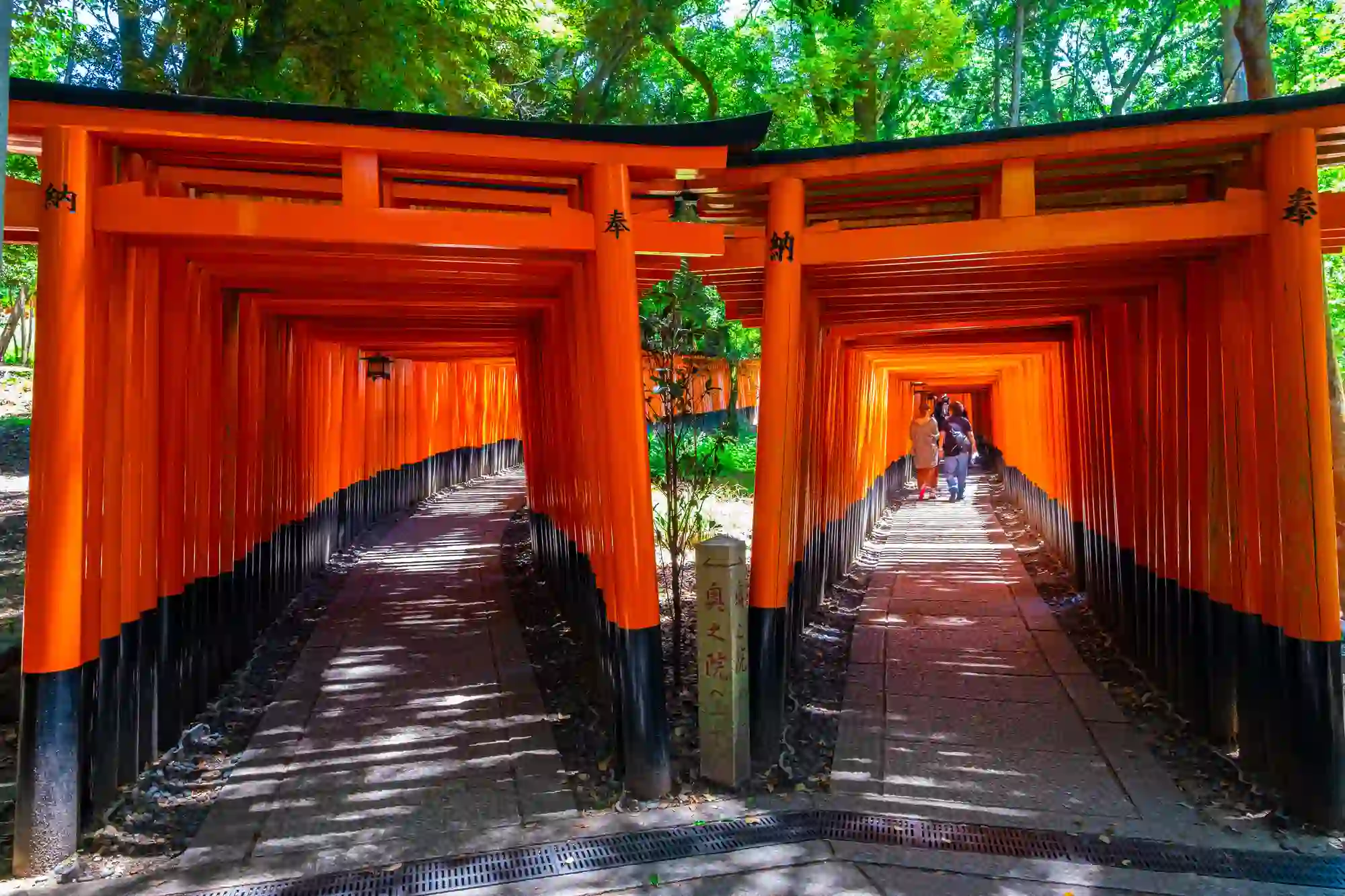 후시미 이나리타이샤(교토부 교토시)