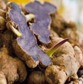 파비플로라 효능