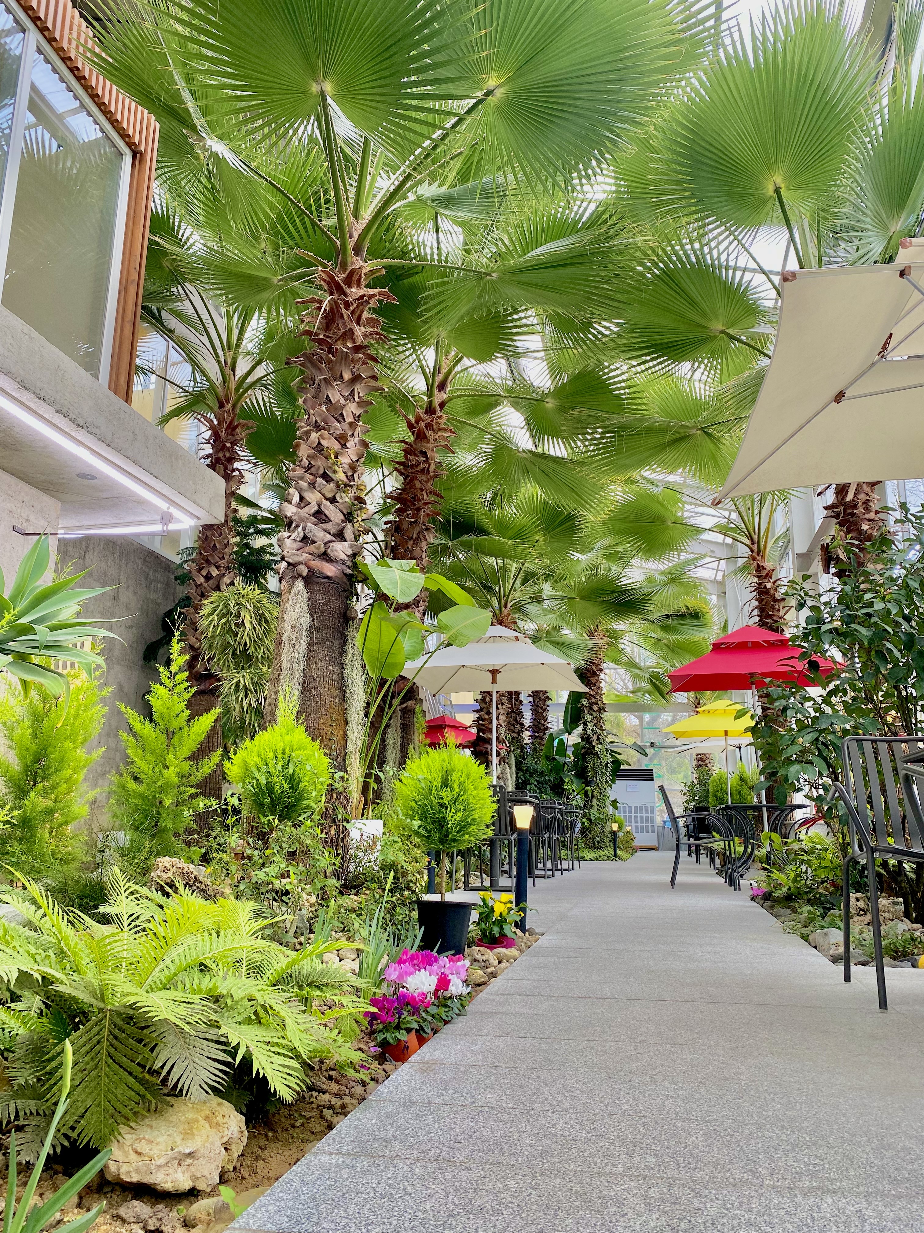 색다른 민간정원 리스트-울산 울주 온실리움