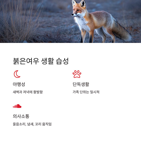 습성과 생활 방식