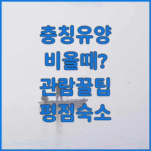 충칭 유양 타오화위안 우천 시 관람 ..