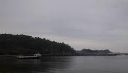 흑산도 홍어 가격