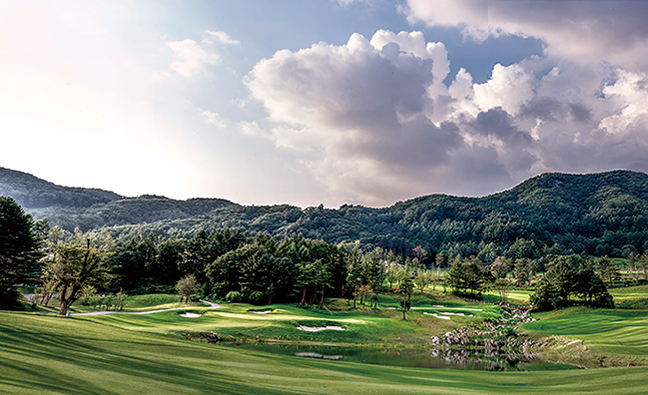 세이지우드 홍천 출처 매일경제