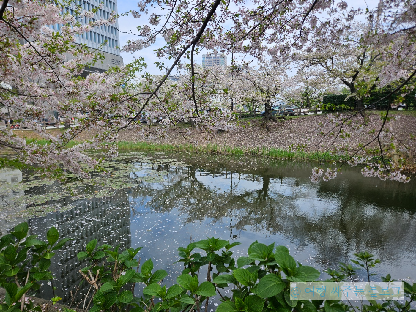 오호리 공원 시오미타로우