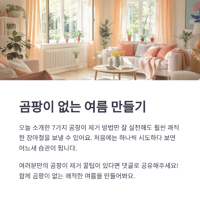 곰팡이 없는 여름