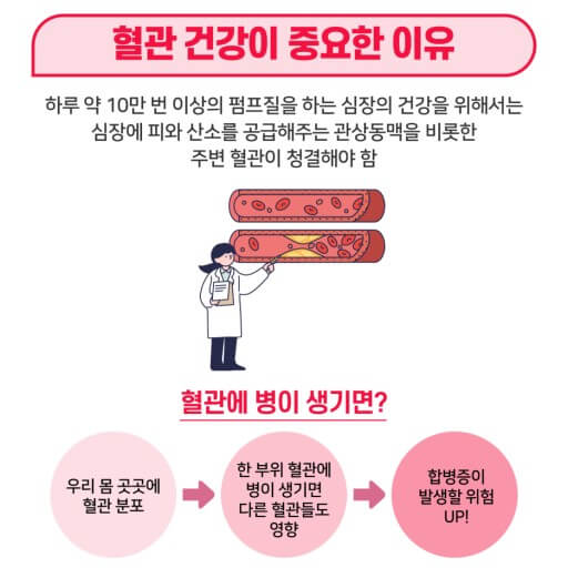 혈관건강의 중요성