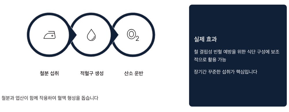 시금치 효능