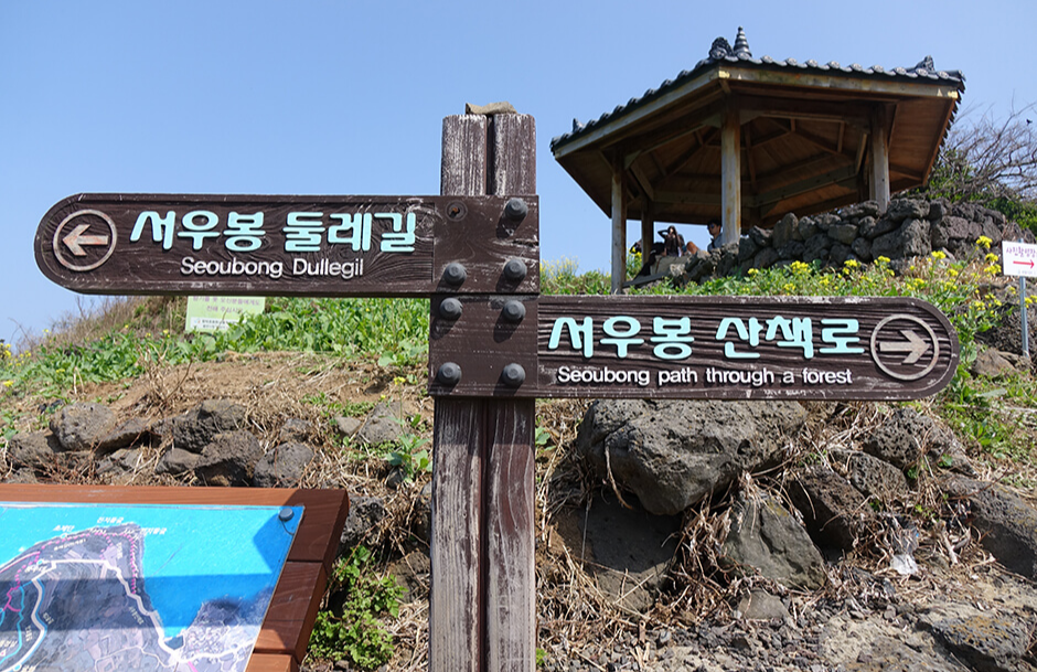 제주 반려견 겨울 나들이 명소, 강아지와 함께 걷기 좋은 산책 코스