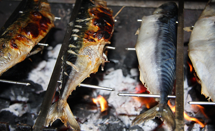 눈에 좋은 눈 건강 음식 등푸른생선