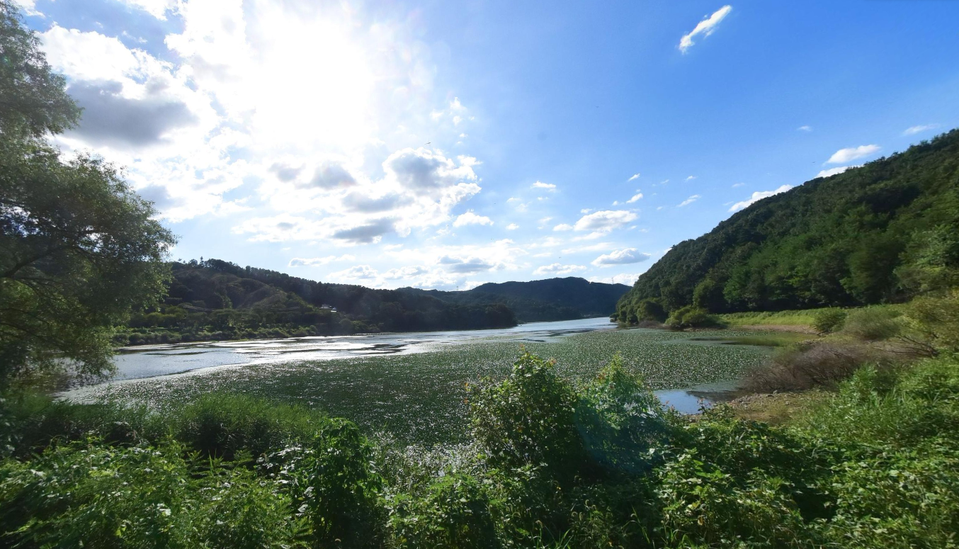 안성 금광호수로 안개 낀 호수의 낭만