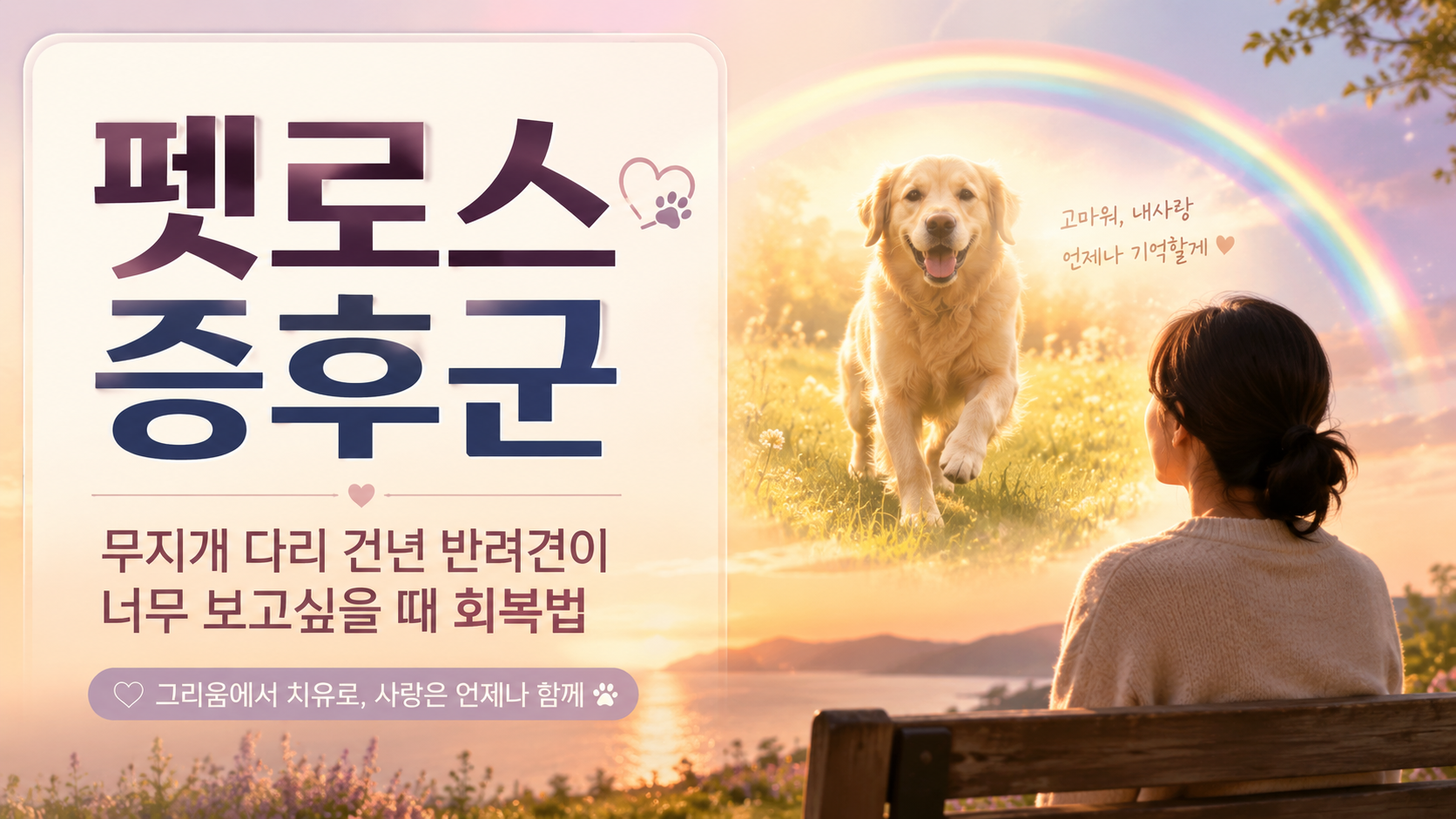 펫로스 증후군으로 무지개 다리 건넌 반려견을 그리워하는 사람이 노을과 무지개 아래에서 반려견을 추억하는 모습