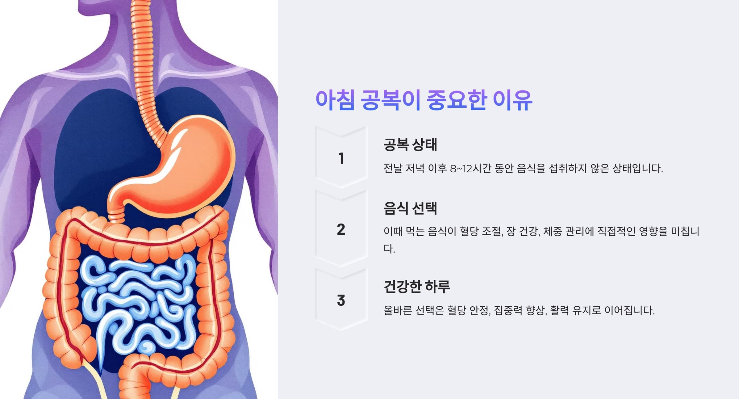아침 공복 음식이 중요한 이유를 설명하는 인포그래픽