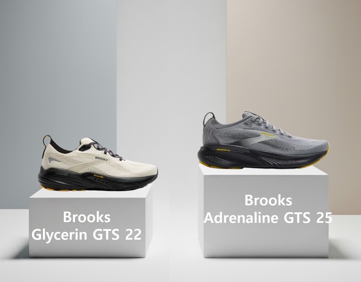 글리세린 GTS 아드레날린 GTS 차이