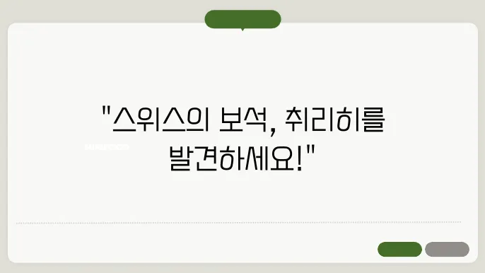 유럽여행 추직 스위스 취리히 : 역사, 문화, 자연이 어울어진 맨25