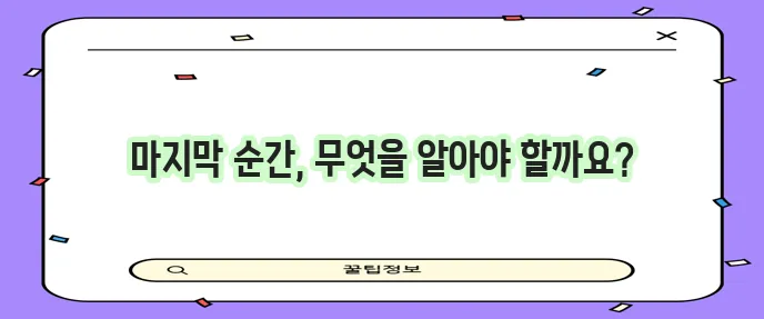 고양이 임종 과정 이해하고 이별을 준비해야 합니다
