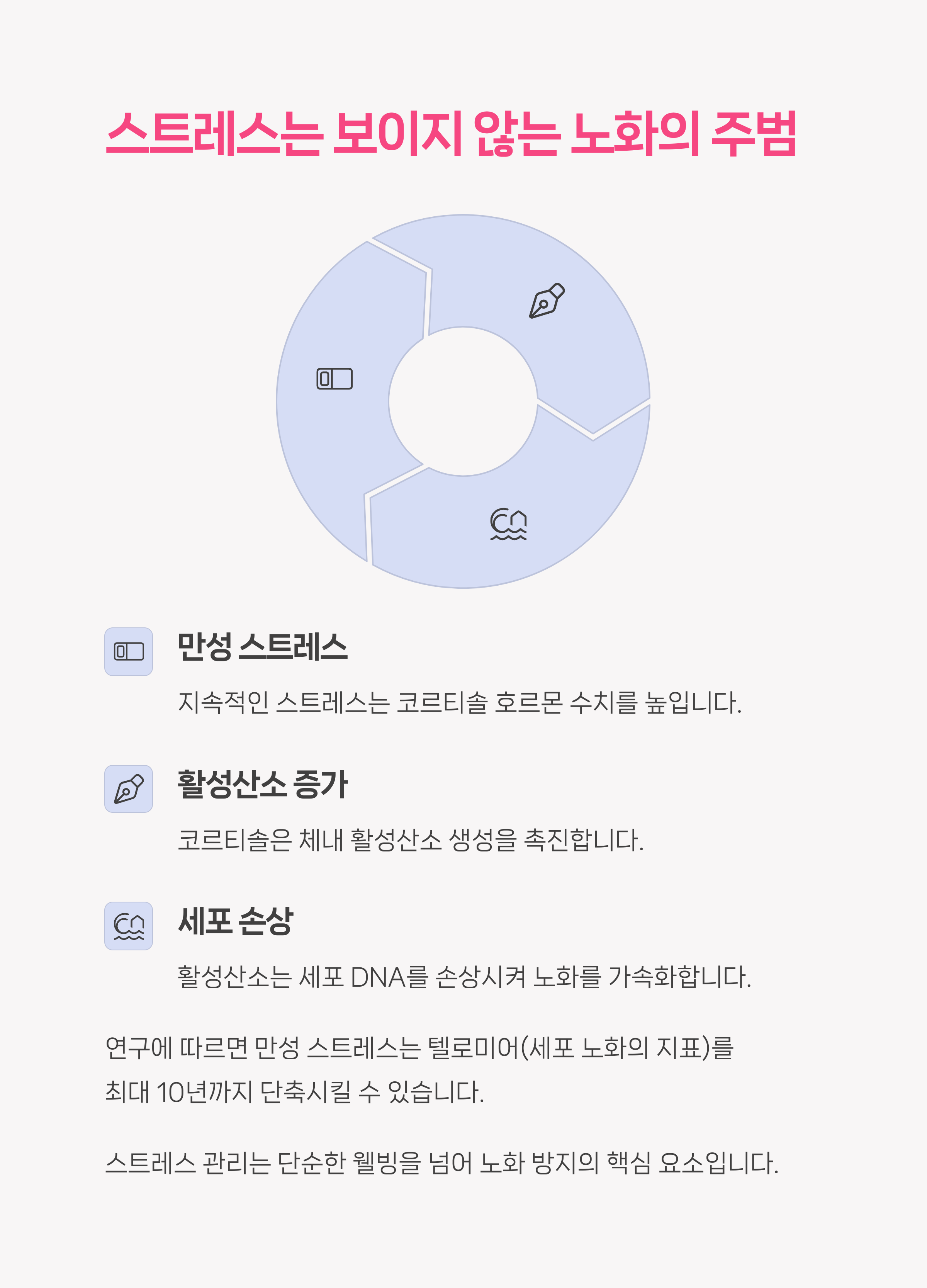 노화 방지