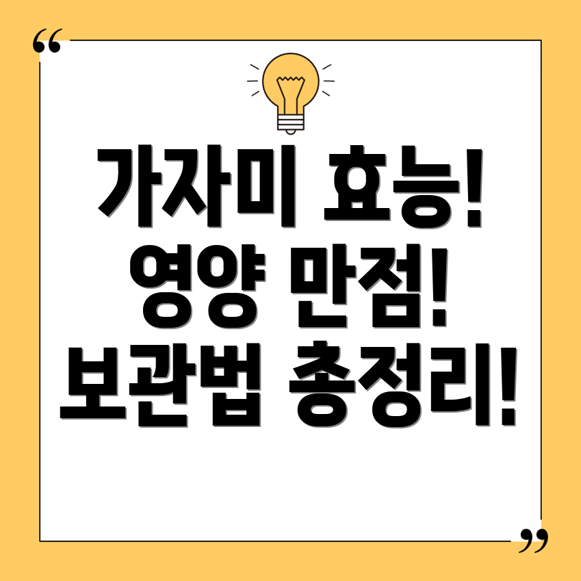 가자미