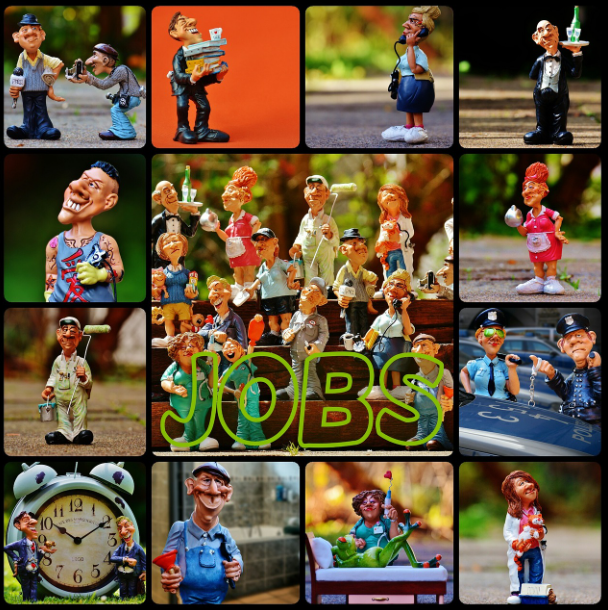 세상에 이런 직업이? 독특하고 신기한 직업 5가지(1)